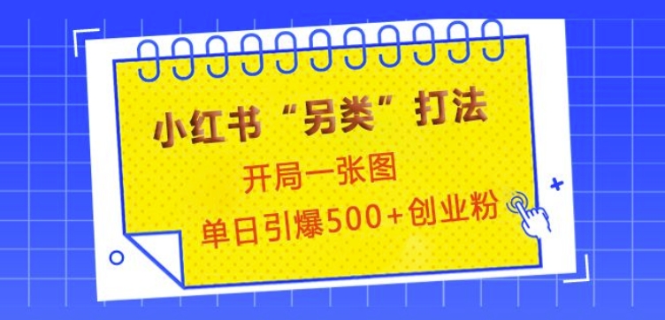 小红书“另类”打法，开局一张图，单日引爆500+精准创业粉【揭秘】-皓收集 | 网创宝典