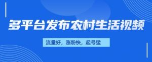 治愈系农村生活视频，多平台发布，流量好，起号快--皓收集 | 网创宝典