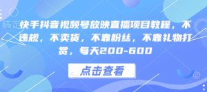 快手抖音视频号放映直播项目教程，不违规，不卖货，不靠粉丝，不靠礼物打赏，每天200-600--皓收集 | 网创宝典