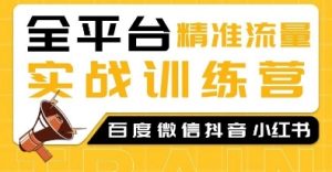 全平台精准流量实战训练营，百度微信抖音小红书SEO引流教程--皓收集 | 网创宝典