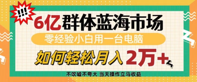 6亿群体蓝海市场，零经验小白用一台电脑，如何轻松月入过w【揭秘】-皓收集 | 网创宝典