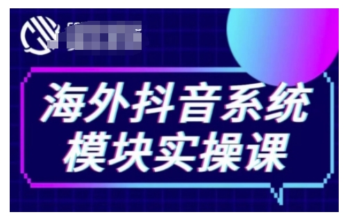 海外抖音Tiktok系统模块实操课，TK短视频带货，TK直播带货，TK小店端实操等-皓收集 | 网创宝典