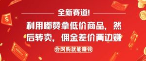 全新赛道，利用嘟赞拿低价商品，然后去闲鱼转卖佣金，差价两边赚，会网购就能挣钱--皓收集 | 网创宝典