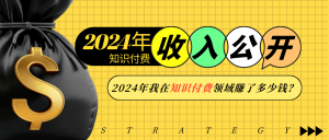 2024年知识付费收入大公开！2024年我在知识付费领域賺了多少钱？--皓收集 | 网创宝典