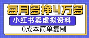 小红书虚拟资料项目，0成本简单复制，每个月多挣1W【揭秘】--皓收集 | 网创宝典