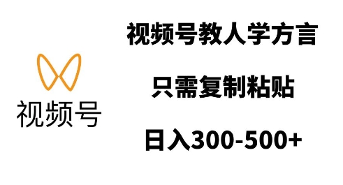 视频号教人学方言，只需复制粘贴，日入多张-皓收集 | 网创宝典