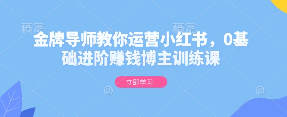 金牌导师教你运营小红书，0基础进阶赚钱博主训练课-皓收集 | 网创宝典