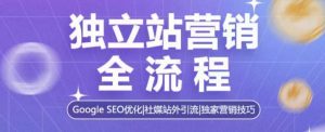独立站营销全流程，Google SEO优化，社媒站外引流，独家营销技巧--皓收集 | 网创宝典