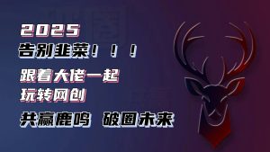 告别韭菜！2025知识付费风口项目，小白也能闭眼操作！--皓收集 | 网创宝典