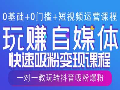 0基础+0门槛+短视频运营课程，玩赚自媒体快速吸粉变现课程，一对一教玩转抖音吸粉爆粉-皓收集 | 网创宝典