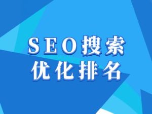 抖音搜索SEO教程，抖音SEO搜索优化排名--皓收集 | 网创宝典