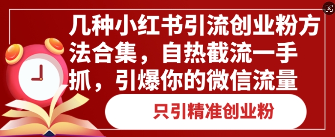 几种小红书引流创业粉方法合集，自热截流一手抓，引爆你的微信流量-皓收集 | 网创宝典