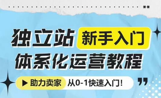 独立站新手入门体系化运营教程，助力独立站卖家从0-1快速入门!-皓收集 | 网创宝典