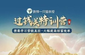 剽悍一只猫-过钱关特训营，学习营销真经 大幅度提高创富效率--皓收集 | 网创宝典