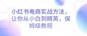 小红书电商实战方法，让你从小白到精英，保姆级教程--皓收集 | 网创宝典