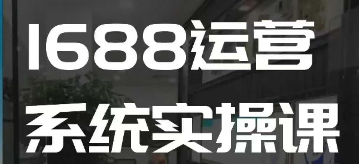 1688高阶运营系统实操课，快速掌握1688店铺运营的核心玩法-皓收集 | 网创宝典