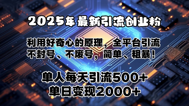 2025年最新引流创业粉，利用好奇心的原理，全平台引流，不封号、不废号，简单、粗暴-皓收集 | 网创宝典