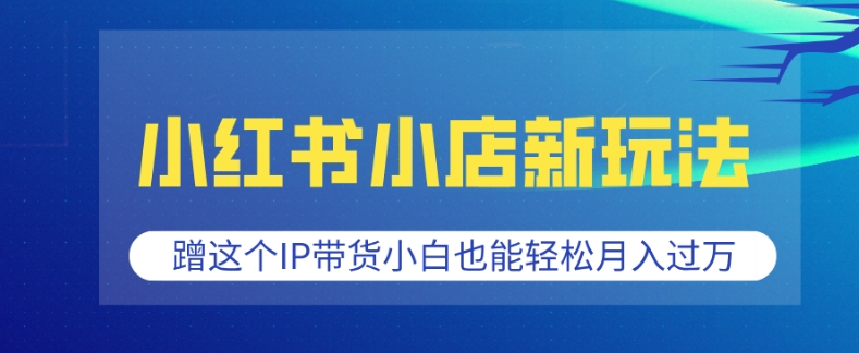 小红书小店新玩法，蹭这个IP带货，小白也能轻松月入过W【揭秘】-皓收集 | 网创宝典