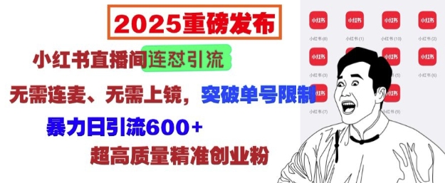 2025重磅发布：小红书直播间连怼引流，无需连麦、无需上镜，突破单号限制，暴力日引流600+-皓收集 | 网创宝典