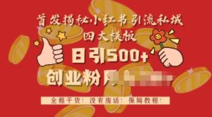 首发揭秘小红书私域日引500+创业粉四大模板，全程干货，没有废话--皓收集 | 网创宝典