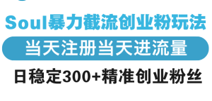 Soul暴力截流创业粉玩法，当天注册当天进流量，日稳定300+精准创业粉丝--皓收集 | 网创宝典