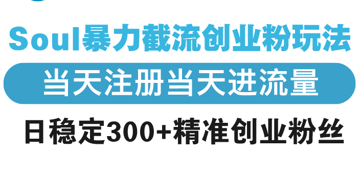 Soul暴力截流创业粉玩法，当天注册当天进流量，日稳定300+精准创业粉丝-皓收集 | 网创宝典