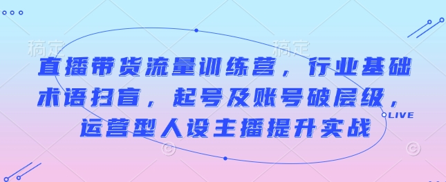 直播带货流量训练营，行业基础术语扫盲，起号及账号破层级，运营型人设主播提升实战-皓收集 | 网创宝典