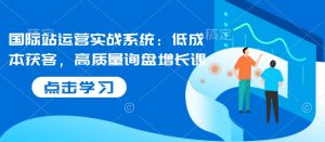 国际站运营实战系统：低成本获客，高质量询盘增长课--皓收集 | 网创宝典