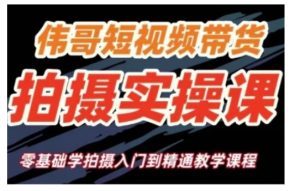 短视频带货拍摄实操课，零基础学拍摄入门到精通教学--皓收集 | 网创宝典