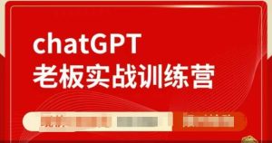 ChatGPT老板实战训练营，用GPT带飞，一人顶一个团队--皓收集 | 网创宝典
