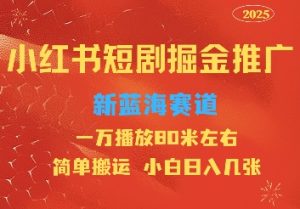 小红书短剧推广，蓝海新赛道，一万播放80元左右，简单搬运适合小白日入几张--皓收集 | 网创宝典
