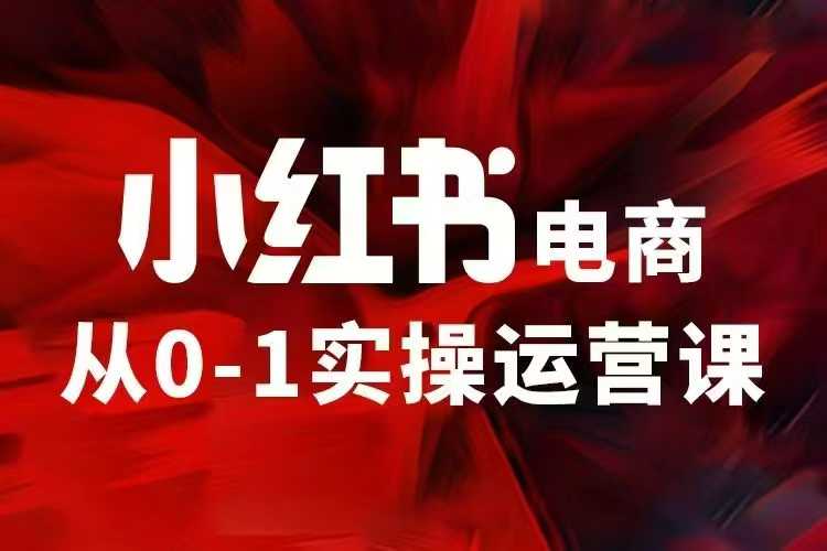 小红书电商运营，97节小红书vip内部课，带你实现小红书赚钱-皓收集 | 网创宝典