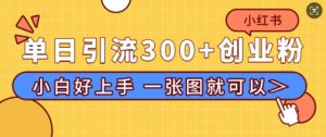 小红书单日引流300+创业粉，“简单粗暴”引流法，小白好上手，私信回不完--皓收集 | 网创宝典