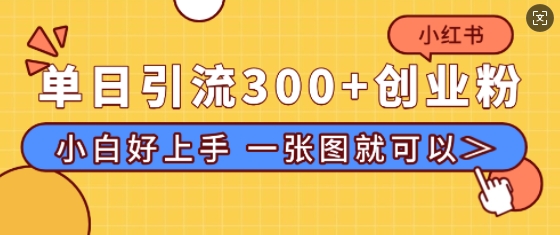 小红书单日引流300+创业粉，“简单粗暴”引流法，小白好上手，私信回不完-皓收集 | 网创宝典