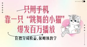只用手机靠一只“跳舞的小猫”爆发百万播放，狂撸分成收益，保姆级教学--皓收集 | 网创宝典