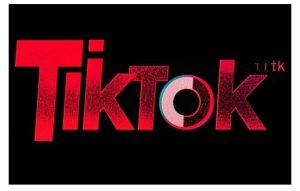 TikTok ads投流秘籍，涵盖tiktok整体投放思路，教你搭建测试计划--皓收集 | 网创宝典
