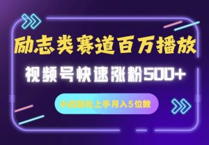 励志类赛道也能百万播放，快速涨粉500+视频号变现月入5位数--皓收集 | 网创宝典