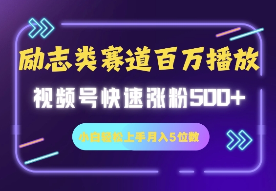 励志类赛道也能百万播放，快速涨粉500+视频号变现月入5位数-皓收集 | 网创宝典