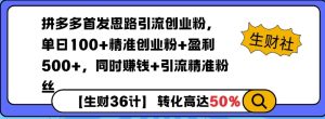 拼多多无敌思路引流创业粉，无脑矩阵开店，同时挣钱+引流精准粉丝-皓收集 | 网创宝典