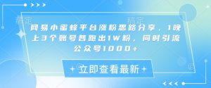 网易小蜜蜂平台涨粉思路分享，1晚上3个账号各跑出1W粉，同时引流公众号1000+--皓收集 | 网创宝典