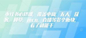 小红书必修课，覆盖电商，无人，获客，种草，mcn，直播等多个板块，看了就能干--皓收集 | 网创宝典