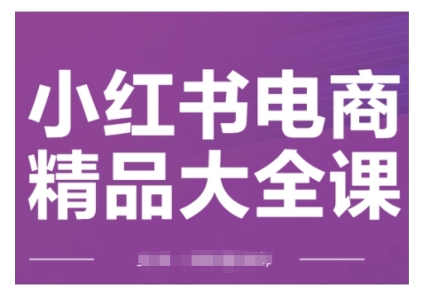 小红书电商精品大全课，快速掌握小红书运营技巧，实现精准引流与爆单目标，轻松玩转小红书电商-皓收集 | 网创宝典