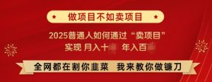 必看，做项目不如卖项目，2025普通人如何通过“卖项目”实现月入十个，年入百个--皓收集 | 网创宝典