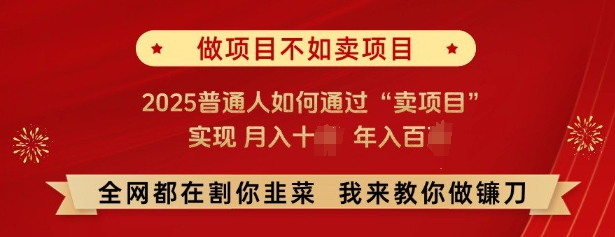 必看，做项目不如卖项目，2025普通人如何通过“卖项目”实现月入十个，年入百个-皓收集 | 网创宝典