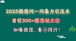 2025最新微信问一问暴力引流术揭秘，日引300+创业粉，单日变现四位数--皓收集 | 网创宝典