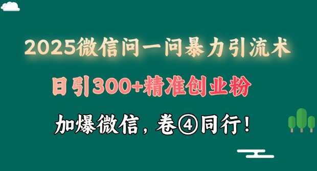 2025最新微信问一问暴力引流术揭秘，日引300+创业粉，单日变现四位数-皓收集 | 网创宝典