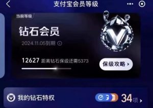 2025最新支付宝快速升级钻石会员技术教学--皓收集 | 网创宝典