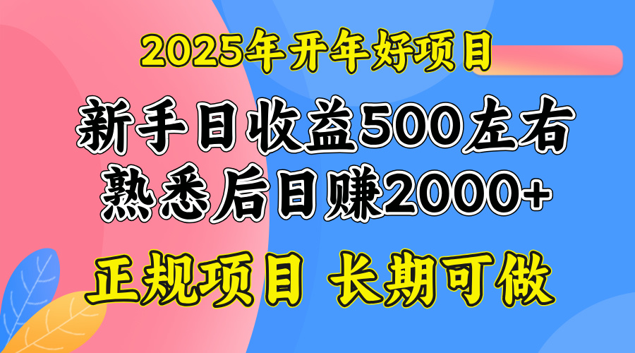 2025开年好项目，单号日收益2000左右-皓收集 | 网创宝典