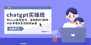 chatgpt实战班，学Excel高效技巧，自动化PPT制作，小红书爆款笔记创作秘籍--皓收集 | 网创宝典