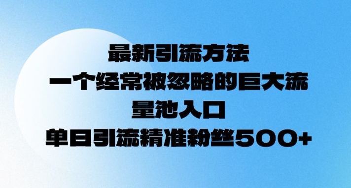 最新引流方法，一个经常被忽略的巨大流量池入口，单日精准引流粉丝500-皓收集 | 网创宝典